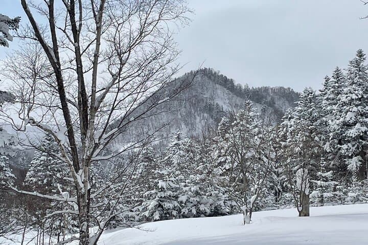 Snowshoeing and Onsen Adventures in a Winter Wonderland -Sapporo. — photo 7