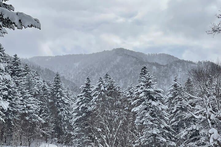 Snowshoeing and Onsen Adventures in a Winter Wonderland -Sapporo. — photo 8