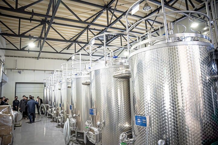 Wine Tasting Experience in Yamaga — photo 4
