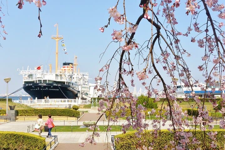 1 Hour Private Photoshoot in Yokohama/Kamakura — photo 11
