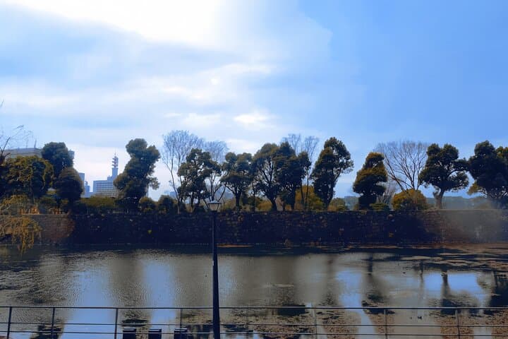 3 Hour Tokyo Roof Bus Tour with a Licensed Guide — photo 2