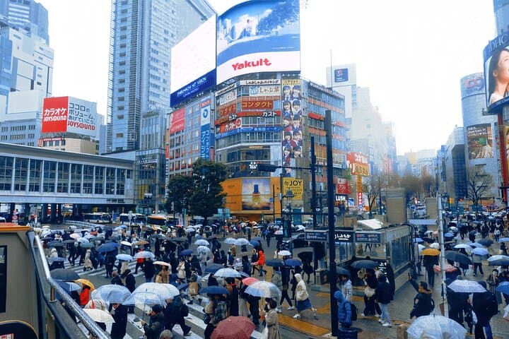 3 Hour Tokyo Roof Bus Tour with a Licensed Guide — photo 3