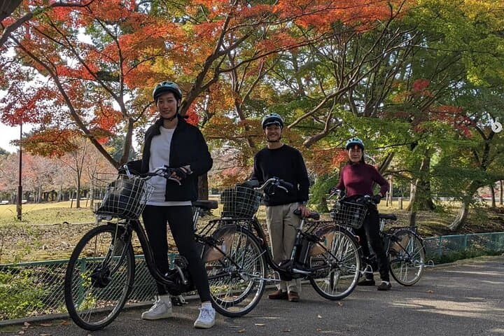 Private Nara E-bike - Family Tour with Lunch — photo 2