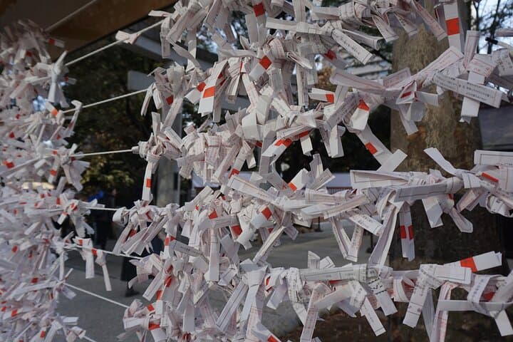 Tokyo: Top 3 Hidden Tokyo Tower Photo Spots and Local Shrine — photo 10