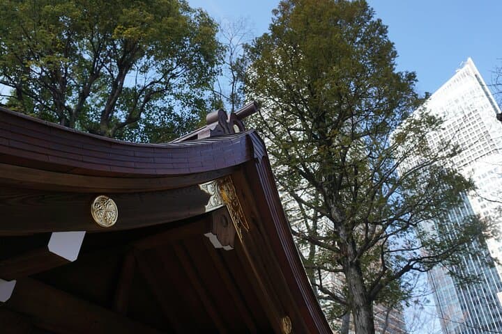 Tokyo: Top 3 Hidden Tokyo Tower Photo Spots and Local Shrine — photo 6