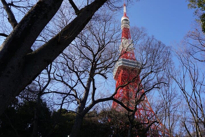 Tokyo: Top 3 Hidden Tokyo Tower Photo Spots and Local Shrine — photo 13