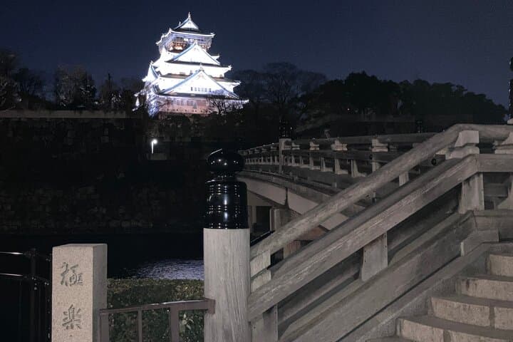 Osaka Castle and Back Alley Gourmet Private Tour — photo 9