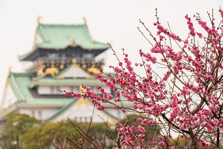 Osaka Castle and Back Alley Gourmet Private Tour — photo 10