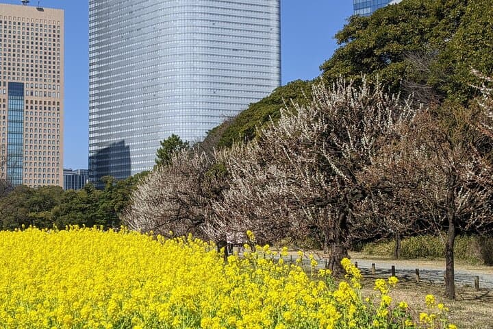 Hamarikyu Gardens — Japanese Garden Wellness Experience — photo 4