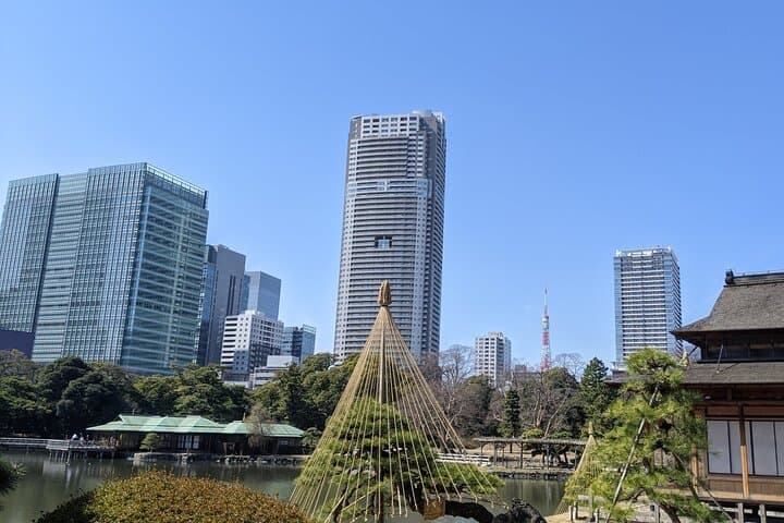 Hamarikyu Gardens — Japanese Garden Wellness Experience — photo 8