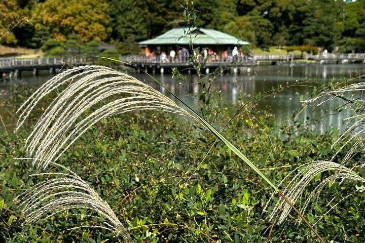 Hamarikyu Gardens — Japanese Garden Wellness Experience — photo 7