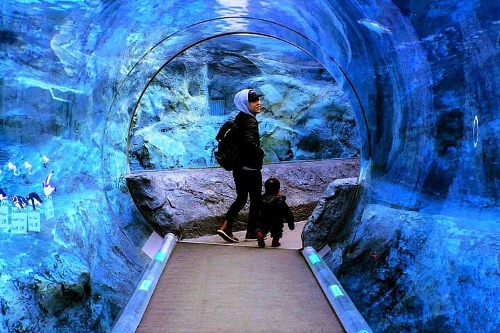 Hokkaido Asahiyama Zoo, Furano and Biei Bus Tour — photo 8