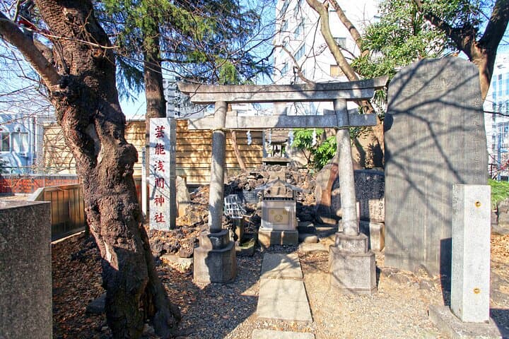 Best of Tokyo City Walking Tour for Kids and Families — photo 2