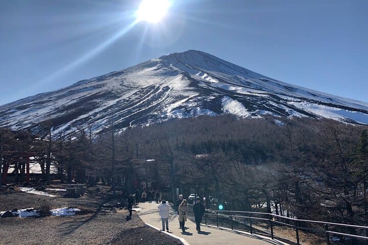 Mt. Fuji & Hakone Bus Tour Bullet Train Return & 28-Hotel Pick-up — photo 19