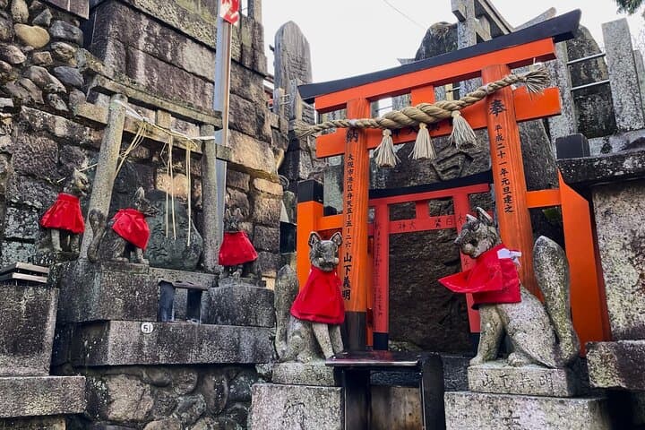 Private Fushimi Red Gates & Secret Bamboo Mountain Trekking Tour — photo 4