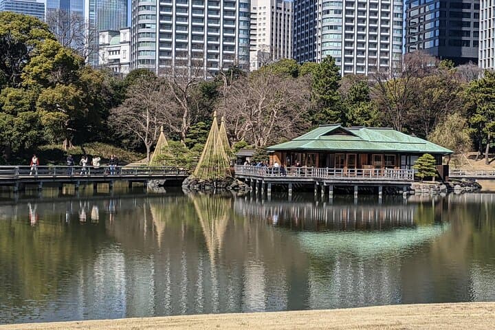 Tsukiji & Hamarikyu Gardens Wellness Tour – Walk, Relax & Lunch — photo 6