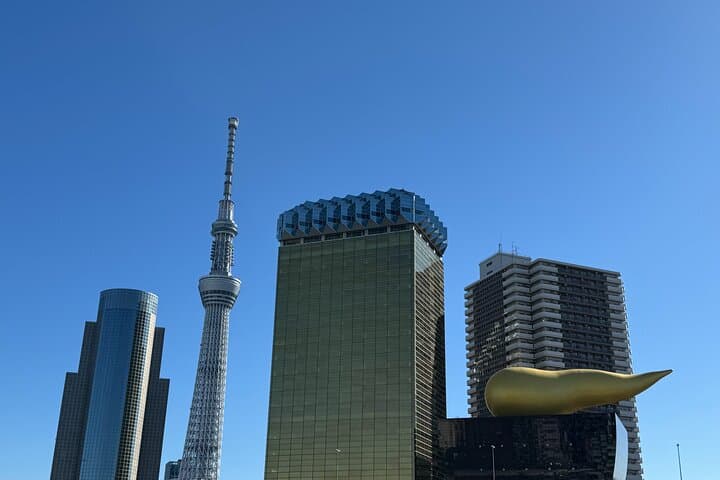 Tokyo in 6 Hours: Private Subway Tour with Licensed English Guide — photo 12