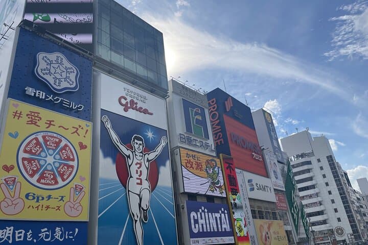 Osaka and Kyoto with National licensed guide by Private Car — photo 3