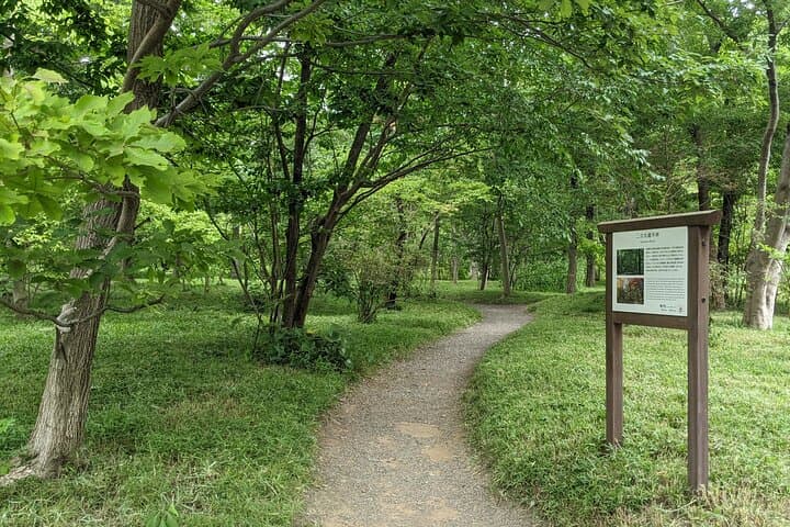 Tokyo Imperial Palace Higashi Gyoen Wellness Experience — photo 4
