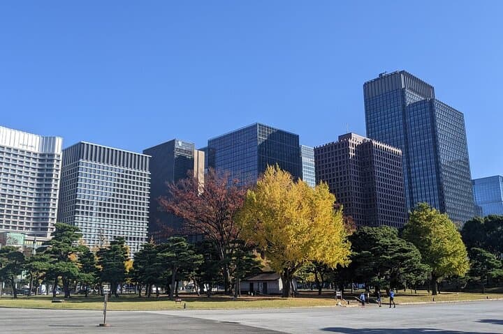 Tokyo Imperial Palace Higashi Gyoen Wellness Tour with lunch — photo 7