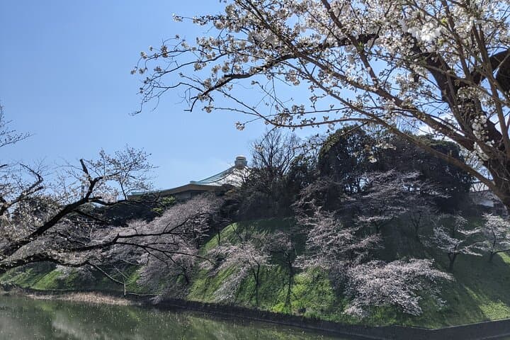 Tokyo Imperial Palace Higashi Gyoen Wellness Tour with lunch — photo 6
