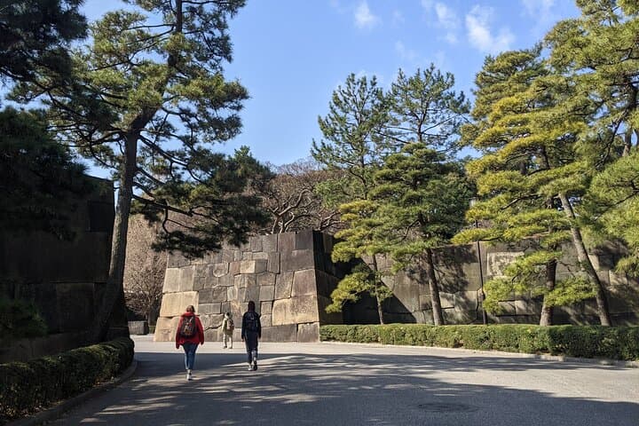 Tokyo Imperial Palace Higashi Gyoen Wellness Tour with lunch — photo 3