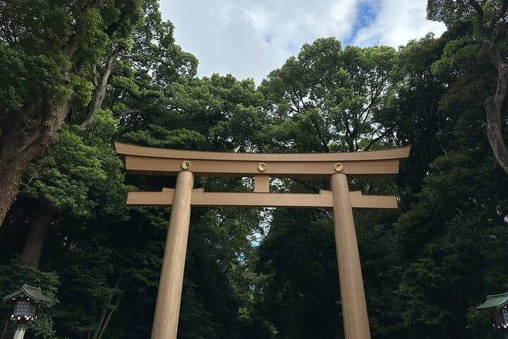 Meiji Jingu Shrine — Japanese Nature Wellness Experience — photo 2