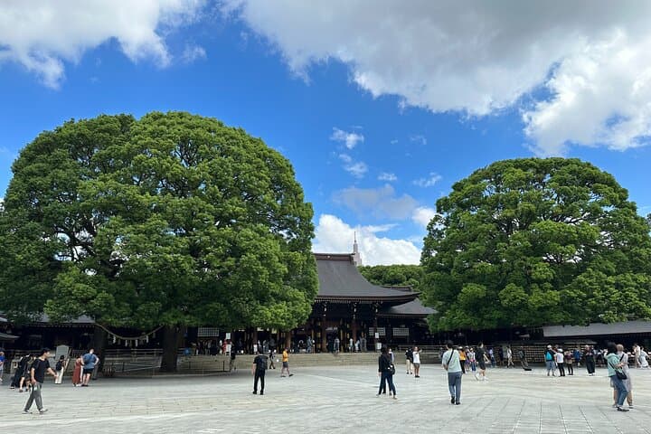 Meiji Jingu Shrine — Japanese Nature Wellness Experience — photo 1