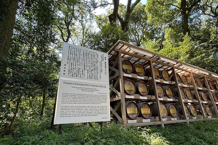 Meiji Jingu Shrine — Japanese Nature Wellness Experience — photo 3