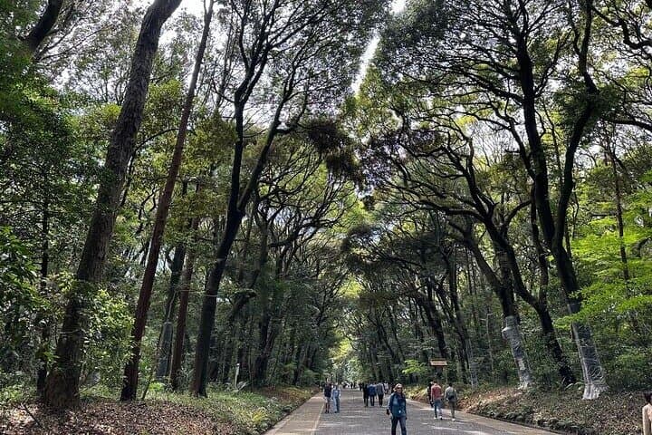 Meiji Jingu Shrine — Japanese Nature Wellness Experience — photo 5