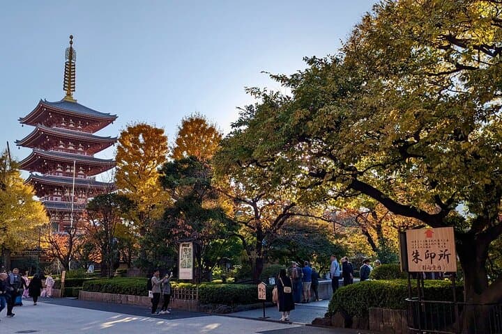 8-Hour Private Tour of Traditional Tokyo in Spanish — photo 2