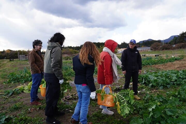 3 Hours Vegetables Harvest Activity Nearby Tokyo — photo 2
