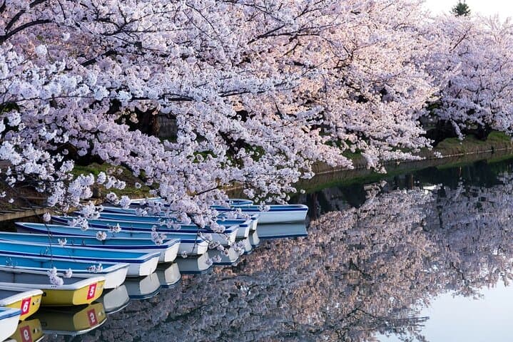 1 Hour Private Photoshoot in Aomori — photo 11