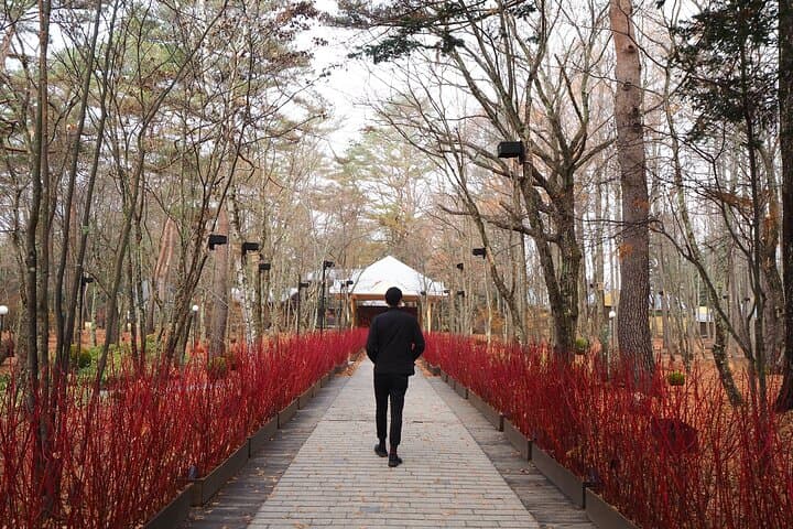 1 Hour Private Photoshoot in Matsumoto Nagano — photo 8