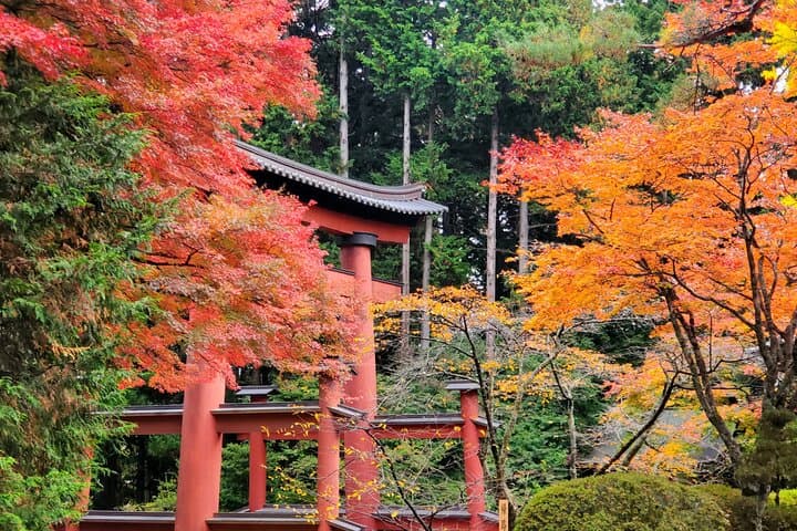 Mount Fuji Full-Day Private Tour from Tokyo (Customizable) — photo 10