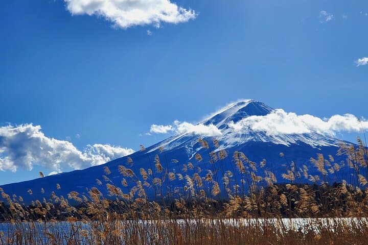 Mount Fuji Full-Day Private Tour from Tokyo (Customizable) — photo 14
