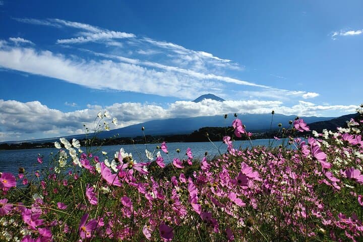 Mount Fuji Full-Day Private Tour from Tokyo (Customizable) — photo 15
