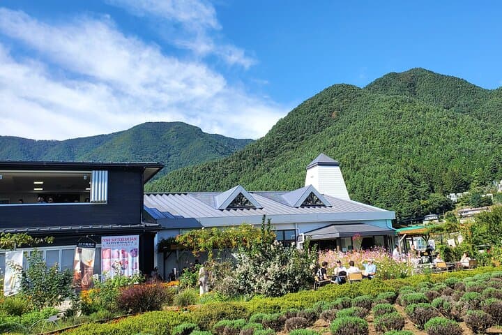 Mount Fuji Full-Day Private Tour from Tokyo (Customizable) — photo 16