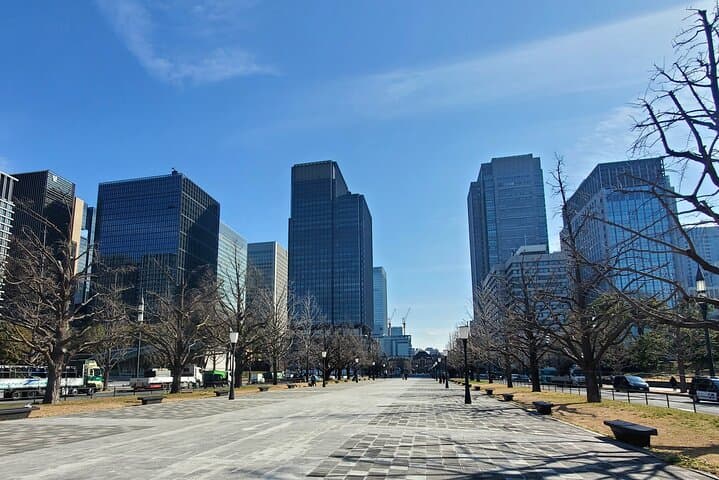 Tokyo Full-Day Private Tour (Customizable) — photo 7