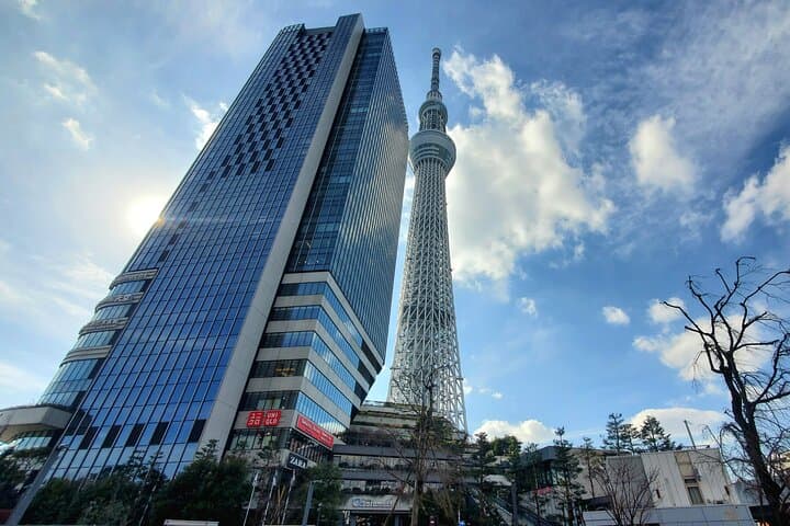 Tokyo Full-Day Private Tour (Customizable) — photo 3