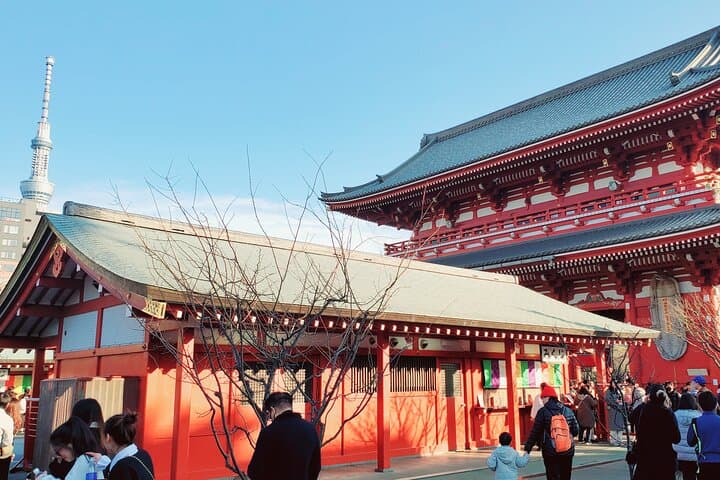 Tokyo Full-Day Private Tour (Customizable) — photo 12