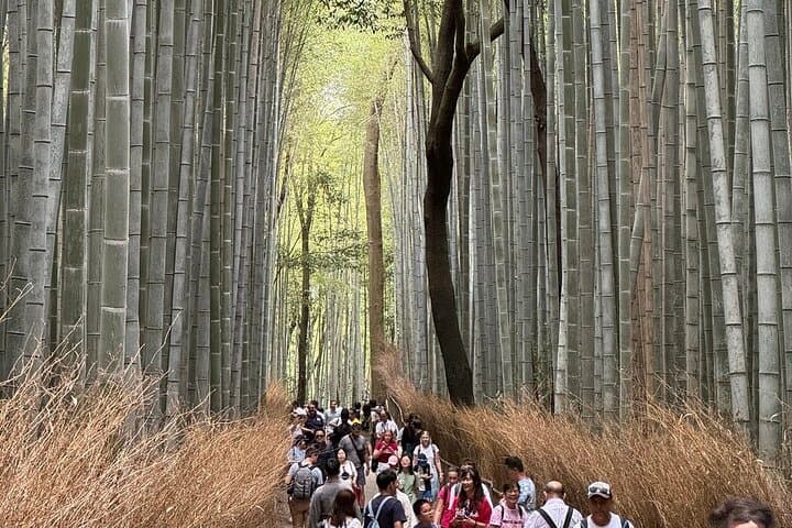Kyoto : Treasures of Gion & historical Walking Tour With A Guide — photo 4
