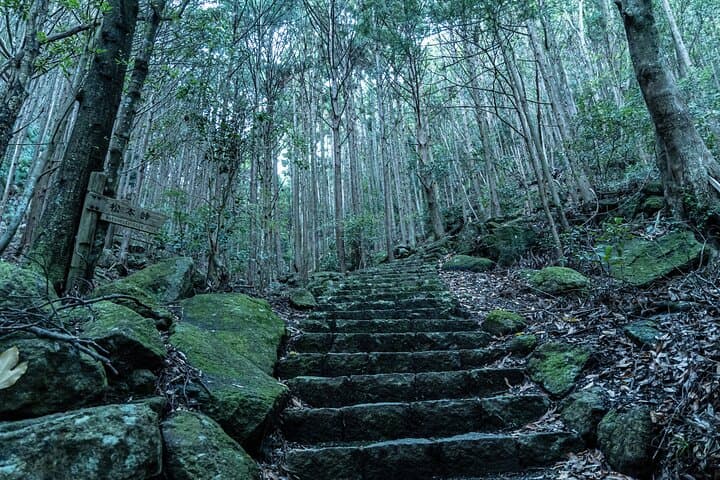 6 Day Private Ise and Kumano Tour — photo 3