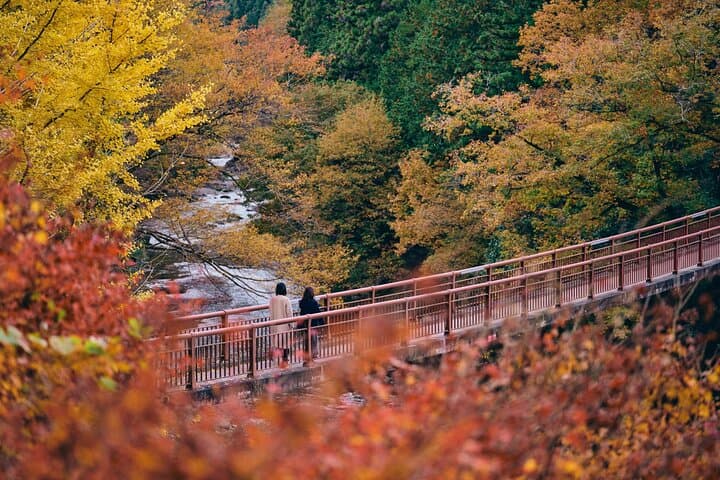 Little Adventure with Cycling in Tokyo No. 1 Crystal Clear River — photo 9