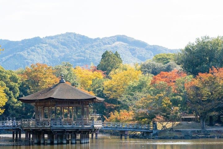 Nara : Private Day Walking Tour (From Osaka/Kyoto Possible) — photo 5
