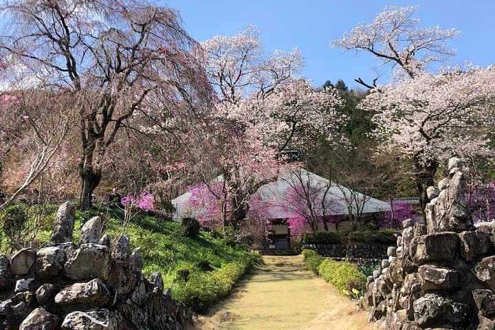 Little Adventure with Cycling in Tokyo No. 1 Crystal Clear River — photo 8