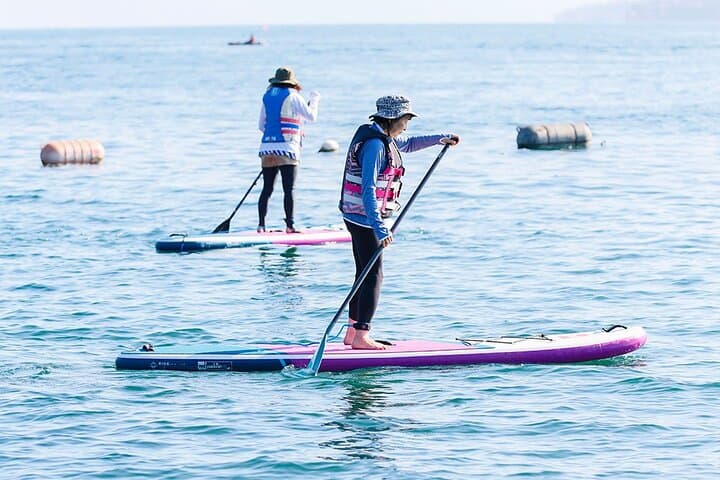 Kagoshima Volcano SUP Yoga Activity Inc. Lunch & Transport — photo 14