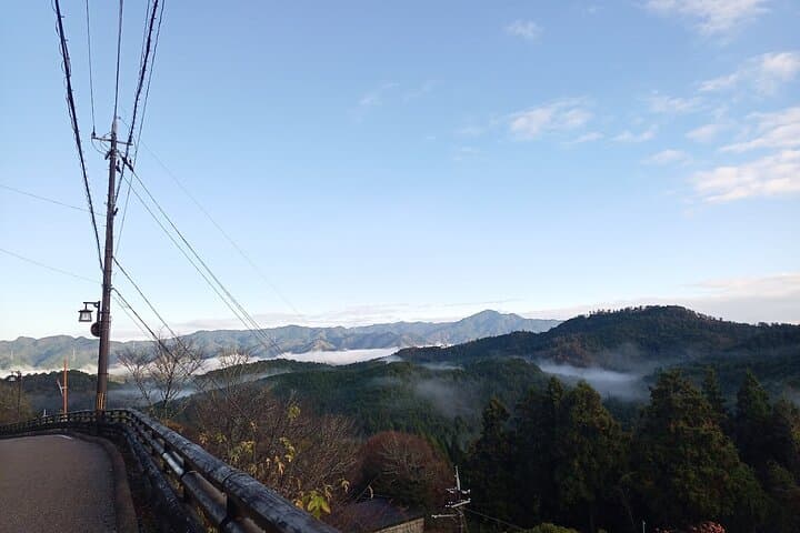 Private Guided Half-Day Walking Tour in Yoshinoyama — photo 2