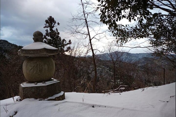 Private Guided Half-Day Walking Tour in Yoshinoyama — photo 4
