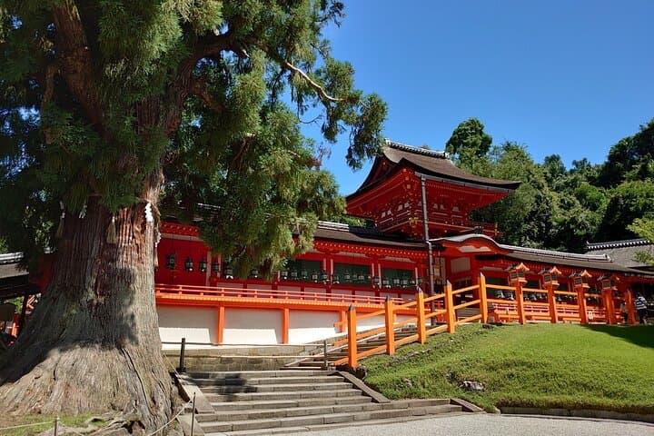 1 Hour Private Photoshoot in Nara — photo 14